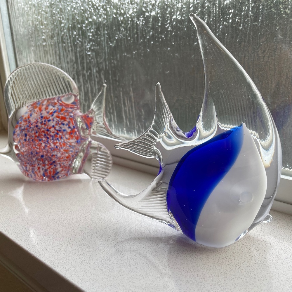 2 Glass Fish
